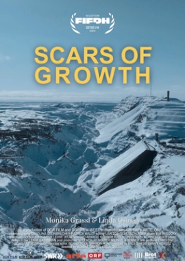 Scars of growth