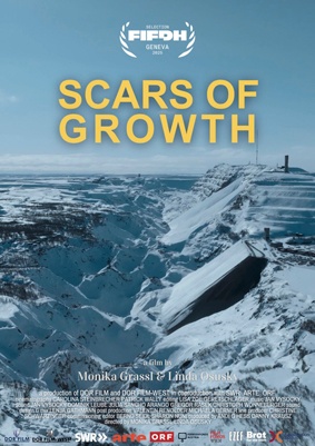 Scars of growth